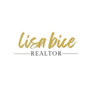 Lisa Bice Branding (4)